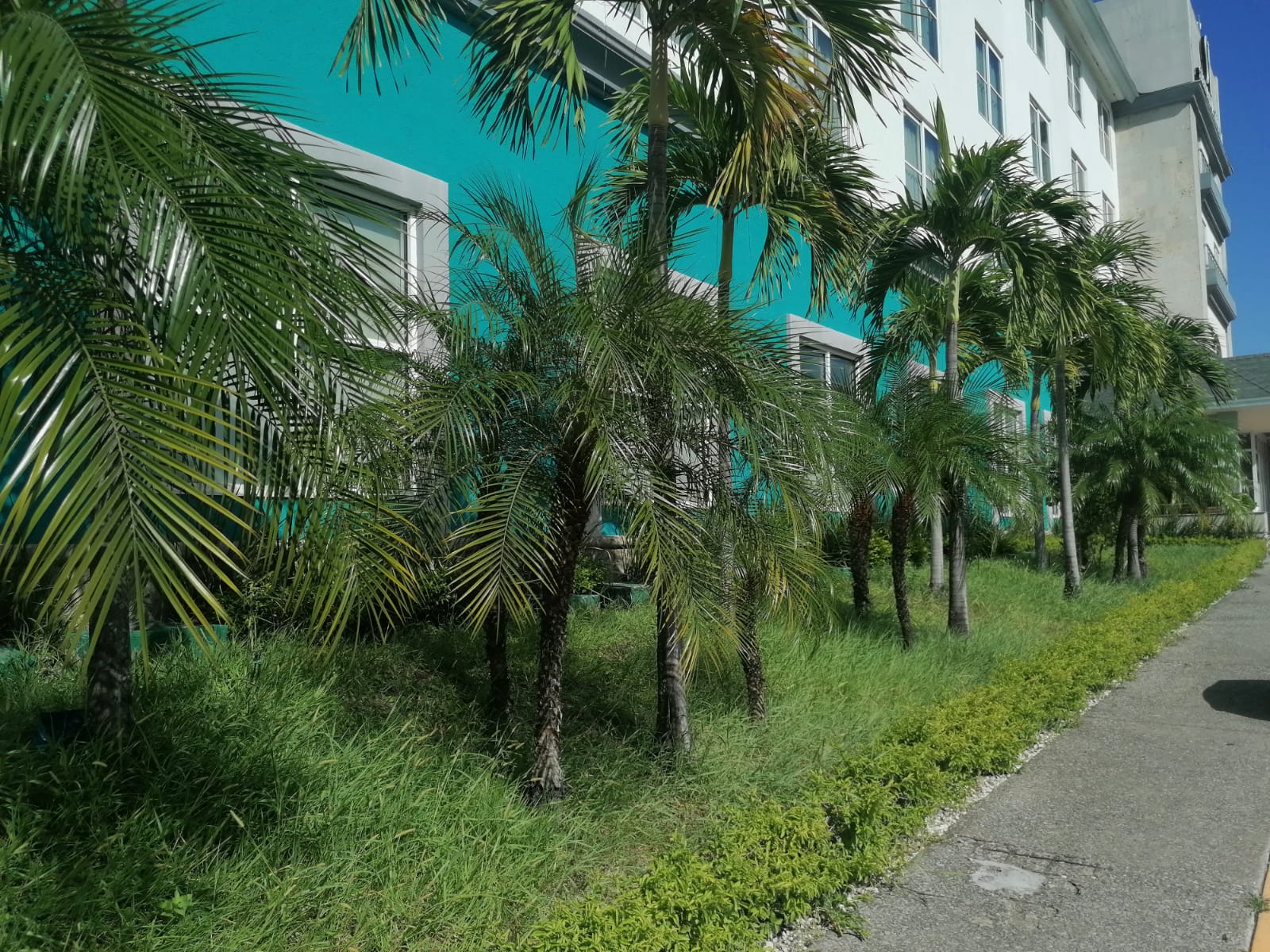 jardin02